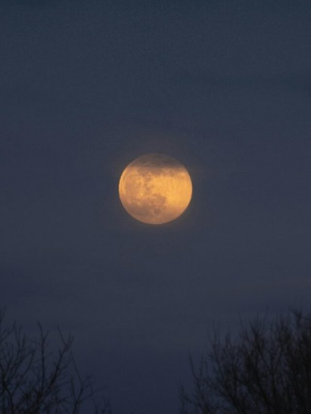 blood moon total lunar eclipse today